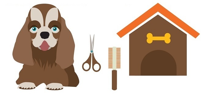 How To Groom A Dog With Scissors at Home in 12 Simple Steps