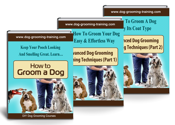 How To Groom a dog eBooks