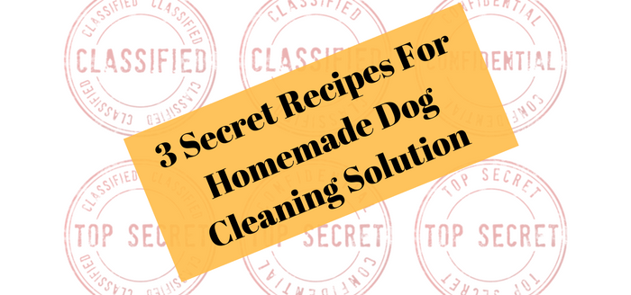 3 Secret Recipes For Homemade Dog Cleaning Solution