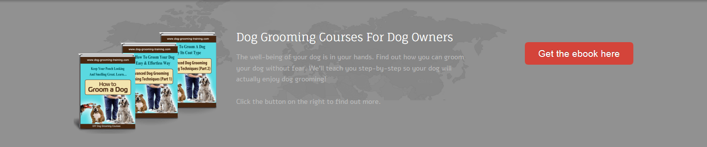 Dog Grooming Courses eBook